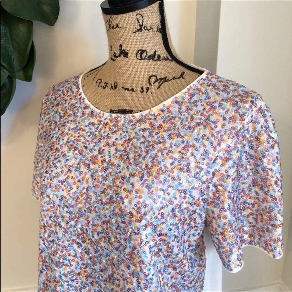 J. Crew Sequin T-Shirt